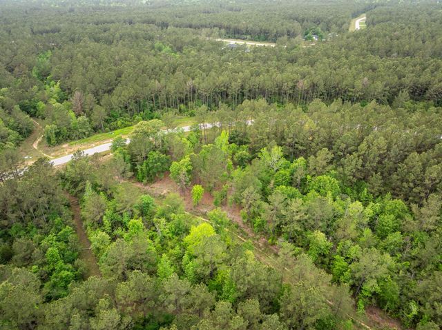 15396 Forest Grove Drive, Willis, TX 77378
