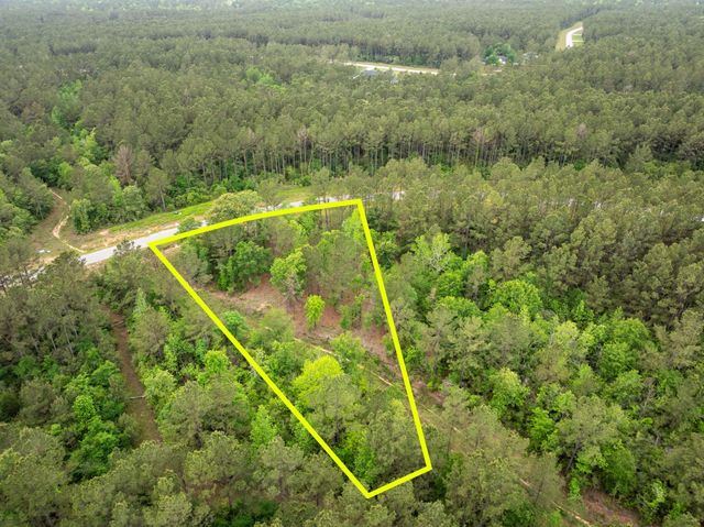 15396 Forest Grove Drive, Willis, TX 77378