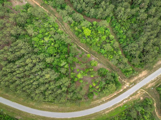 15396 Forest Grove Drive, Willis, TX 77378