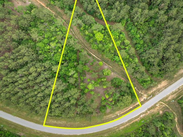 15396 Forest Grove Drive, Willis, TX 77378