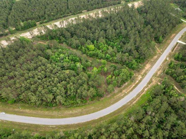 15396 Forest Grove Drive, Willis, TX 77378