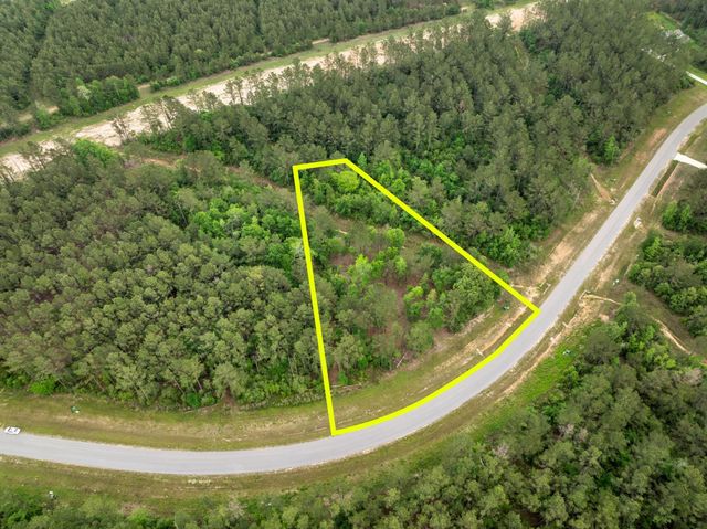 15396 Forest Grove Drive, Willis, TX 77378