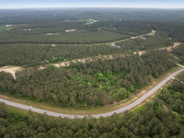 15396 Forest Grove Drive, Willis, TX 77378