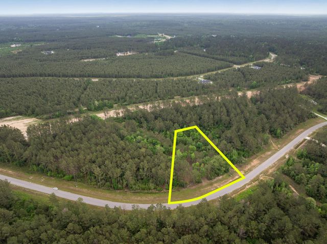 15396 Forest Grove Drive, Willis, TX 77378