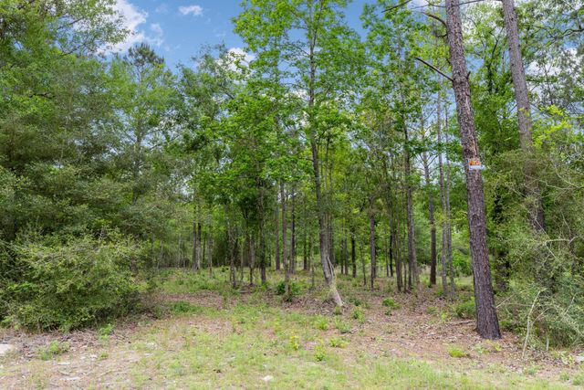 15396 Forest Grove Drive, Willis, TX 77378