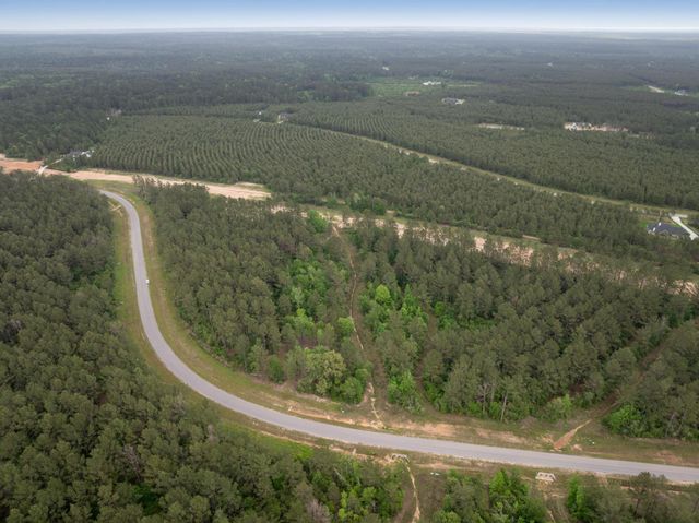 15396 Forest Grove Drive, Willis, TX 77378