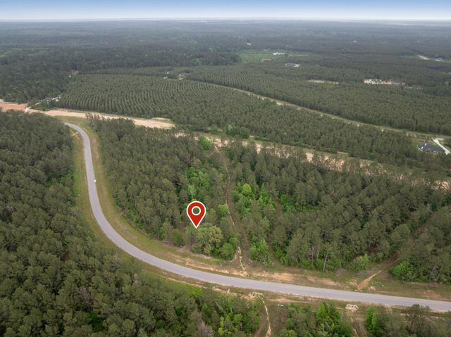 15396 Forest Grove Drive, Willis, TX 77378