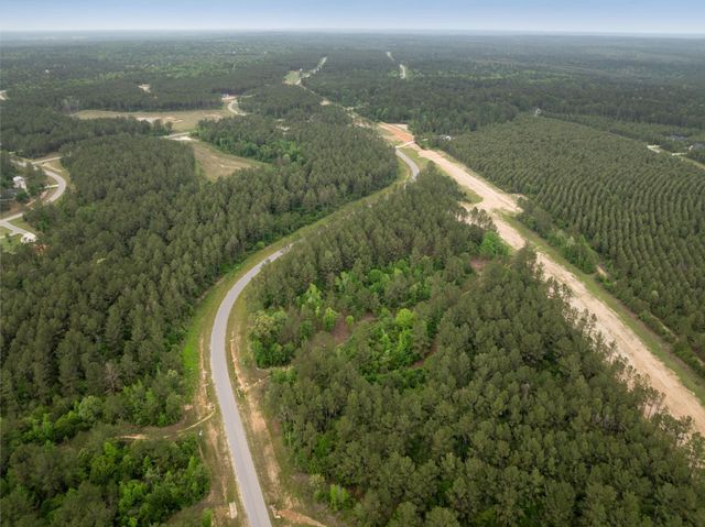 15396 Forest Grove Drive, Willis, TX 77378
