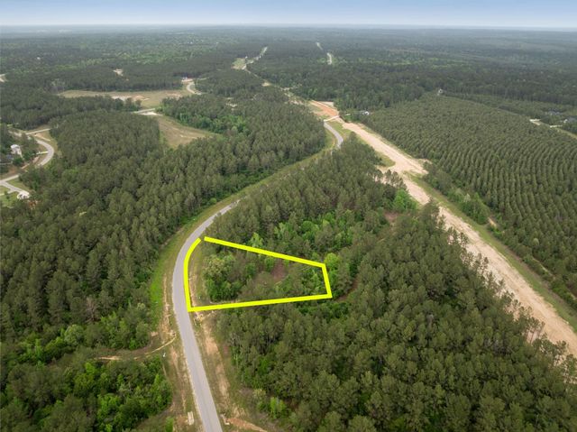 15396 Forest Grove Drive, Willis, TX 77378