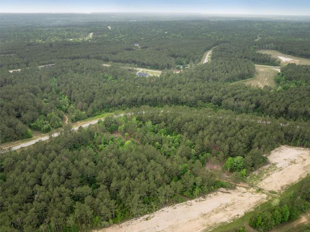 15396 Forest Grove Drive, Willis, TX 77378