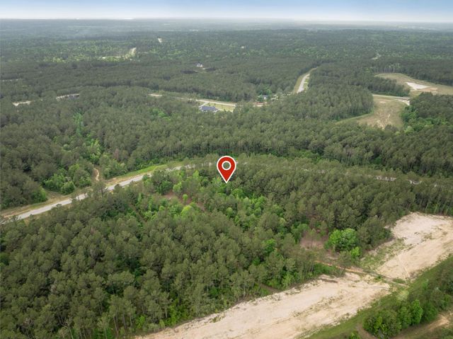 15396 Forest Grove Drive, Willis, TX 77378