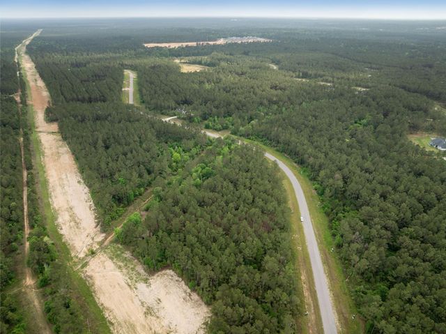 15396 Forest Grove Drive, Willis, TX 77378