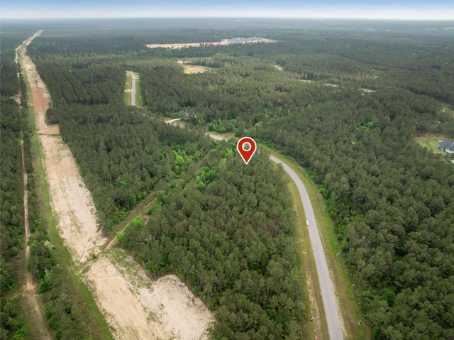 15396 Forest Grove Drive, Willis, TX 77378