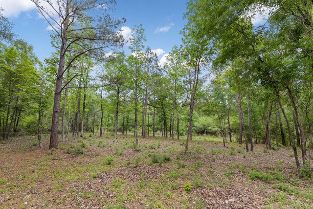 15396 Forest Grove Drive, Willis, TX 77378