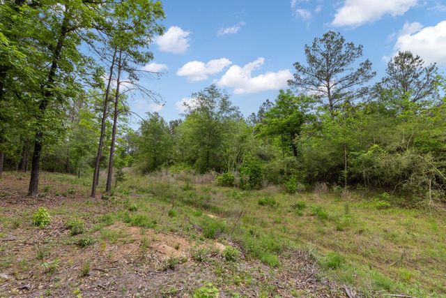 15396 Forest Grove Drive, Willis, TX 77378