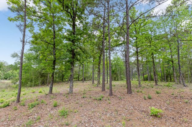 15396 Forest Grove Drive, Willis, TX 77378