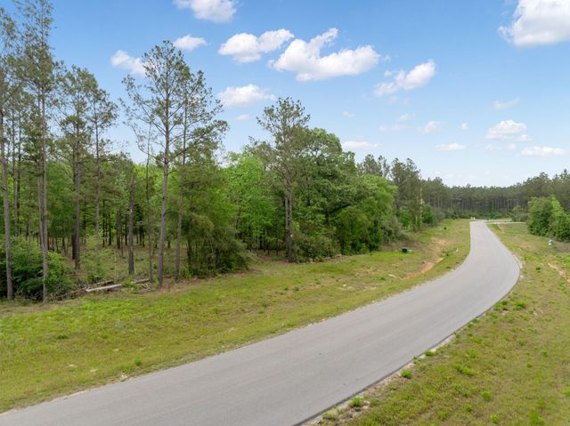 15396 Forest Grove Drive, Willis, TX 77378