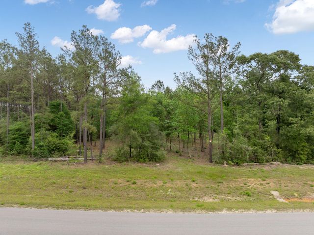 15396 Forest Grove Drive, Willis, TX 77378