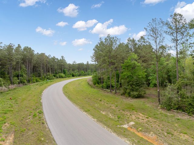 15396 Forest Grove Drive, Willis, TX 77378