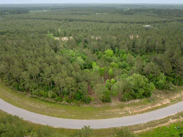 15396 Forest Grove Drive, Willis, TX 77378