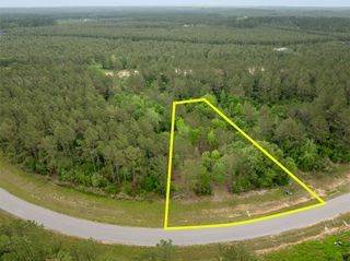 15396 Forest Grove Drive, Willis, TX 77378