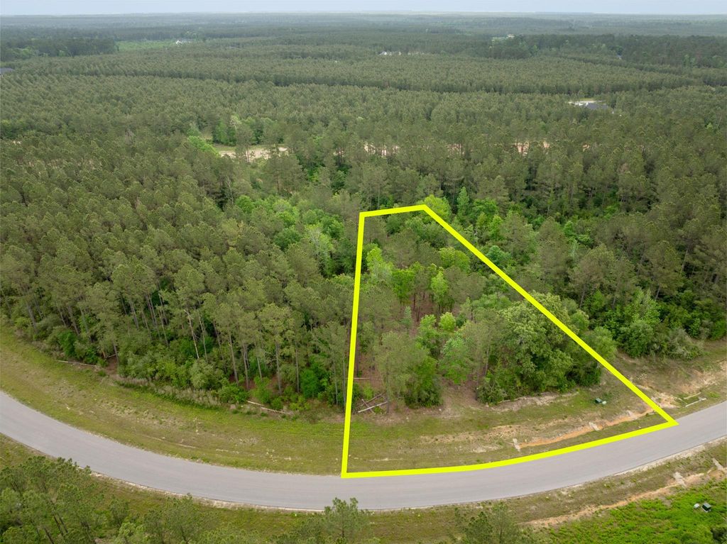 15396 Forest Grove Drive, Willis, TX 77378