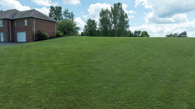 320 Alice Roy Road, Windsor, KY 42565