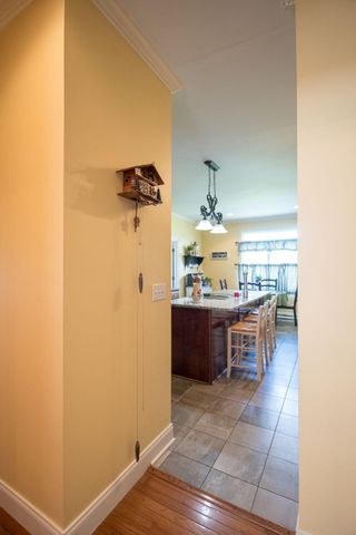 320 Alice Roy Road, Windsor, KY 42565