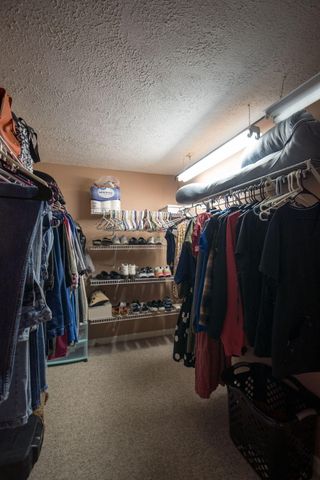 320 Alice Roy Road, Windsor, KY 42565