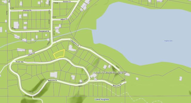Austin Way Vic Sylvan Drive, Lake Hughes, CA 93532