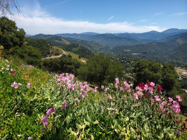 275 EL CAMINITO ROAD, Carmel Valley, CA 93924