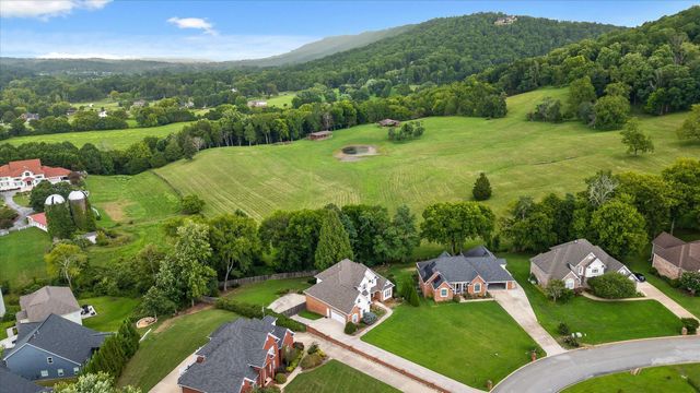 9815 Leslie Sandidge Drive, Ooltewah, TN 37363