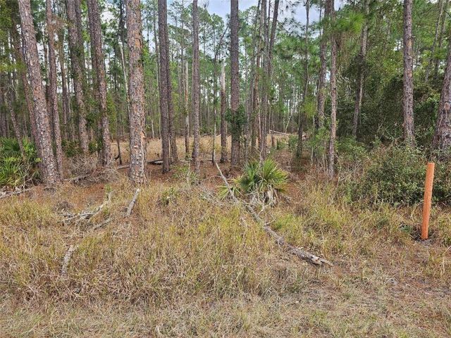 Tbd Chinaberry Street, Eustis, FL 32736