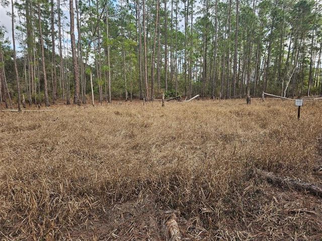 Tbd Chinaberry Street, Eustis, FL 32736