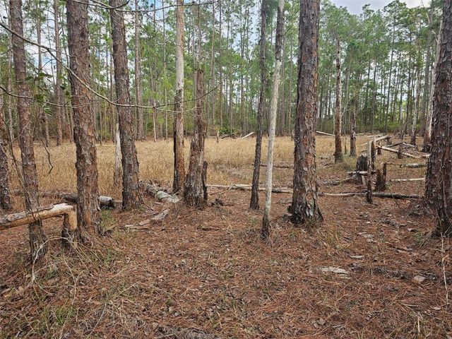 Tbd Chinaberry Street, Eustis, FL 32736