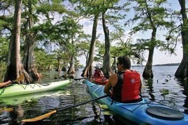 Tbd Chinaberry Street, Eustis, FL 32736