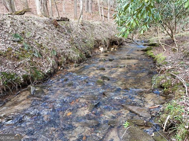 LOT 44A Synacia Drive, Mineral Bluff, GA 30559