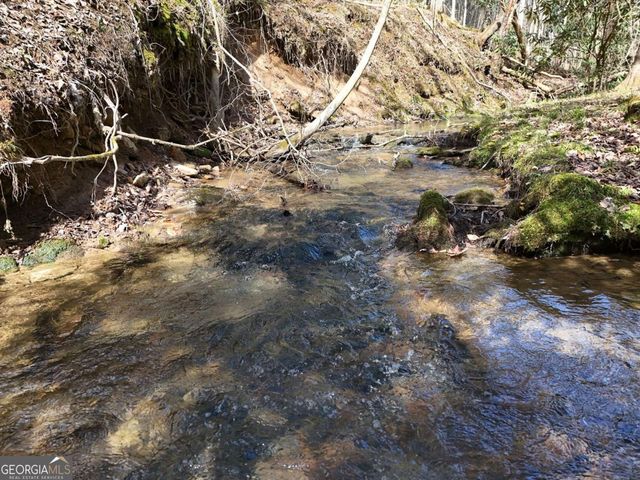 LOT 44A Synacia Drive, Mineral Bluff, GA 30559