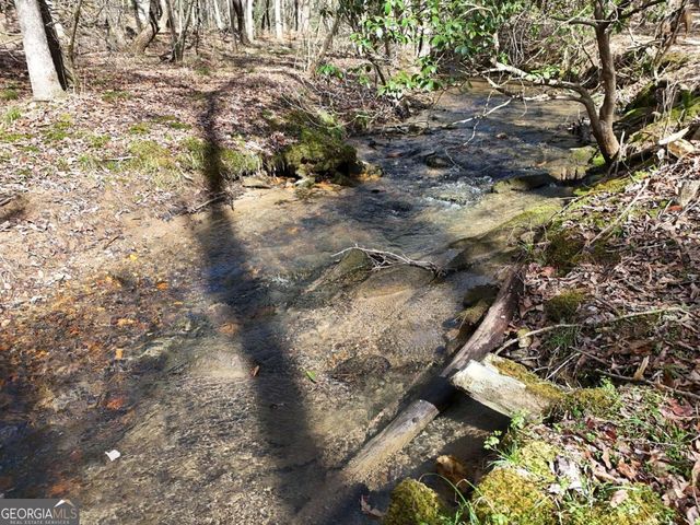 LOT 44A Synacia Drive, Mineral Bluff, GA 30559