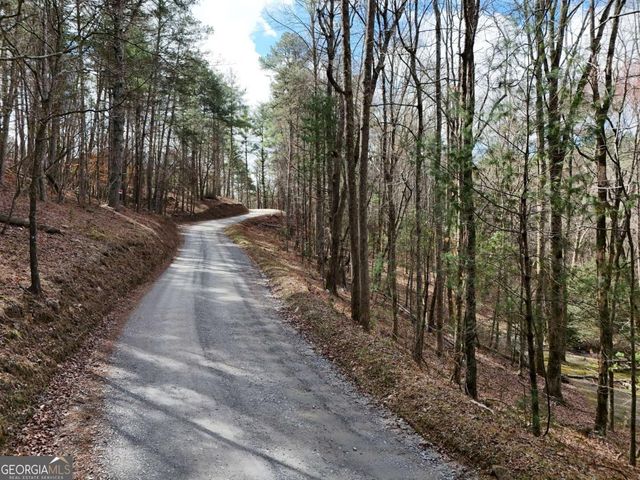 LOT 44A Synacia Drive, Mineral Bluff, GA 30559