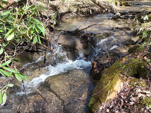 LOT 44A Synacia Drive, Mineral Bluff, GA 30559