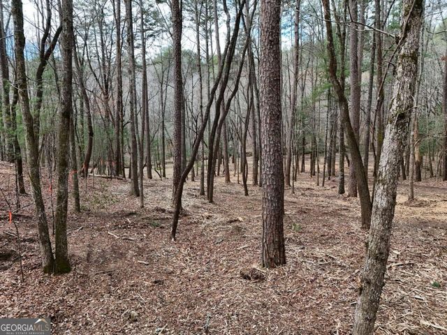 LOT 44A Synacia Drive, Mineral Bluff, GA 30559