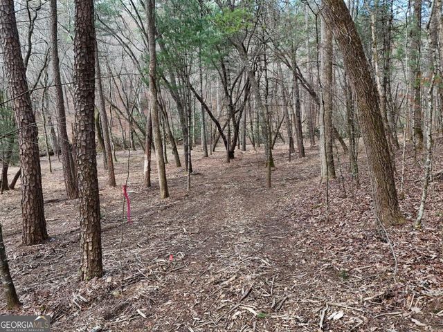 LOT 44A Synacia Drive, Mineral Bluff, GA 30559