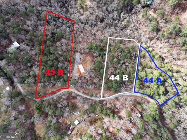 LOT 44A Synacia Drive, Mineral Bluff, GA 30559