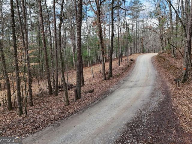 LOT 44A Synacia Drive, Mineral Bluff, GA 30559