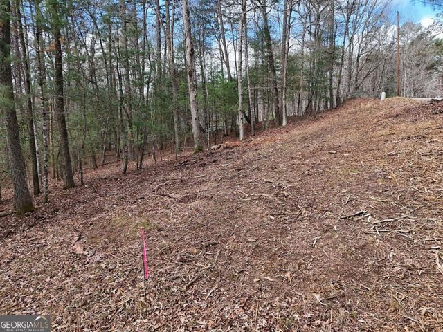 LOT 44A Synacia Drive, Mineral Bluff, GA 30559
