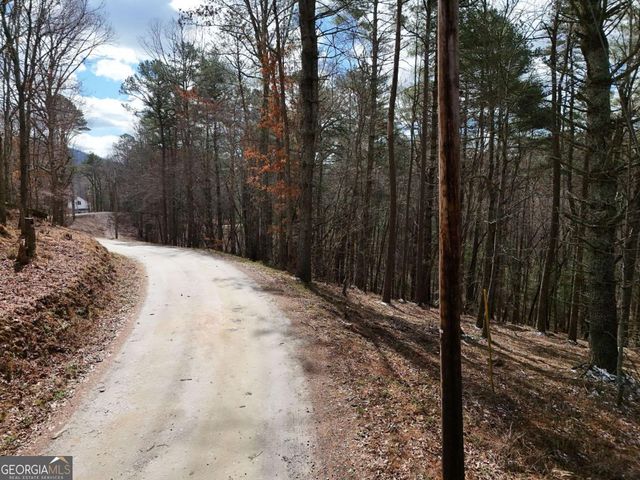 LOT 44A Synacia Drive, Mineral Bluff, GA 30559