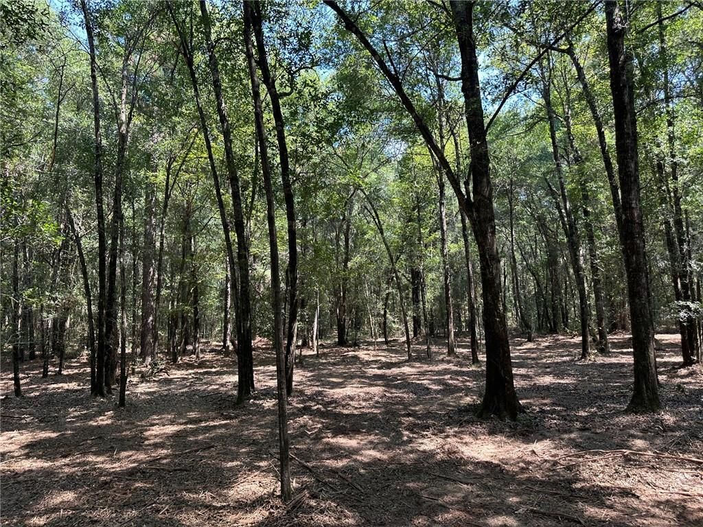 0 Danner Road, Wilmer, AL 36587 — exterior