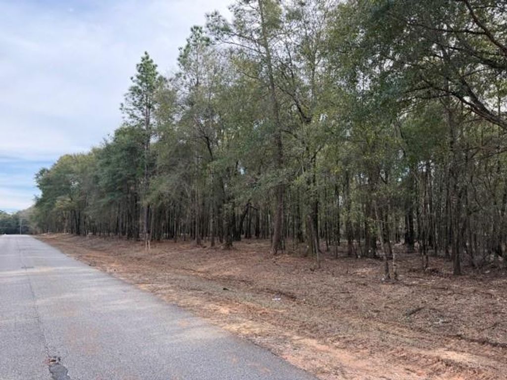 0 Danner Road, Wilmer, AL 36587 — photo 4