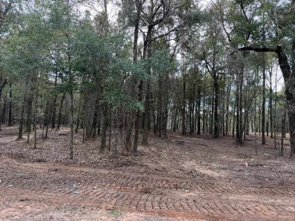 0 Danner Road, Wilmer, AL 36587 — photo 5